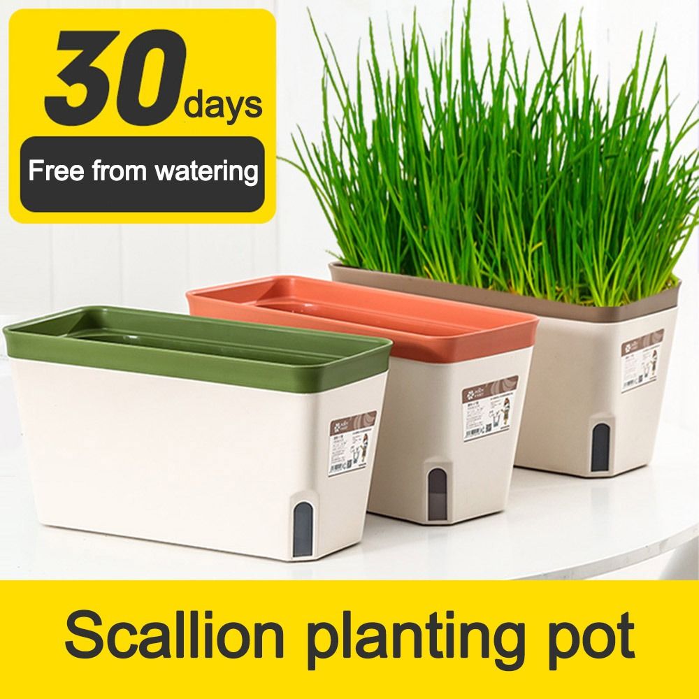 Aloe Vera Pot - Multi-function Double Layer Flower Pot Rectangular
