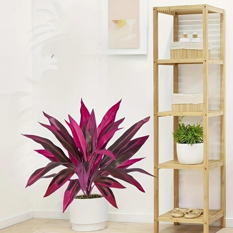 60cm Tall Artificial Dracaena  – обзор и цена Dracaena Marginata