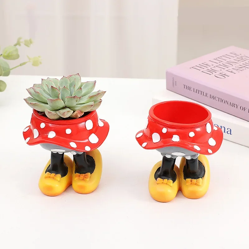 Disney Mickey Minnie Flower Po – обзор и цена Echeveria Succulent