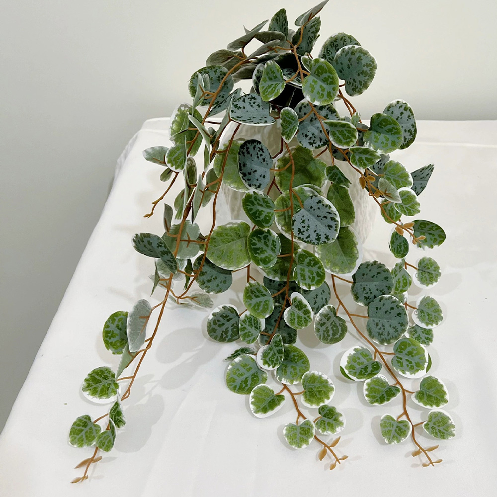49cm Artificial Plants Vines F – обзор и цена Pilea Peperomioides