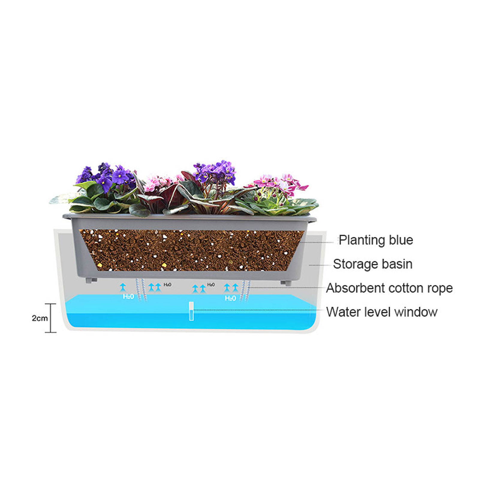 Self-Watering Planter Pots wit – обзор и цена Aloe Vera Pot