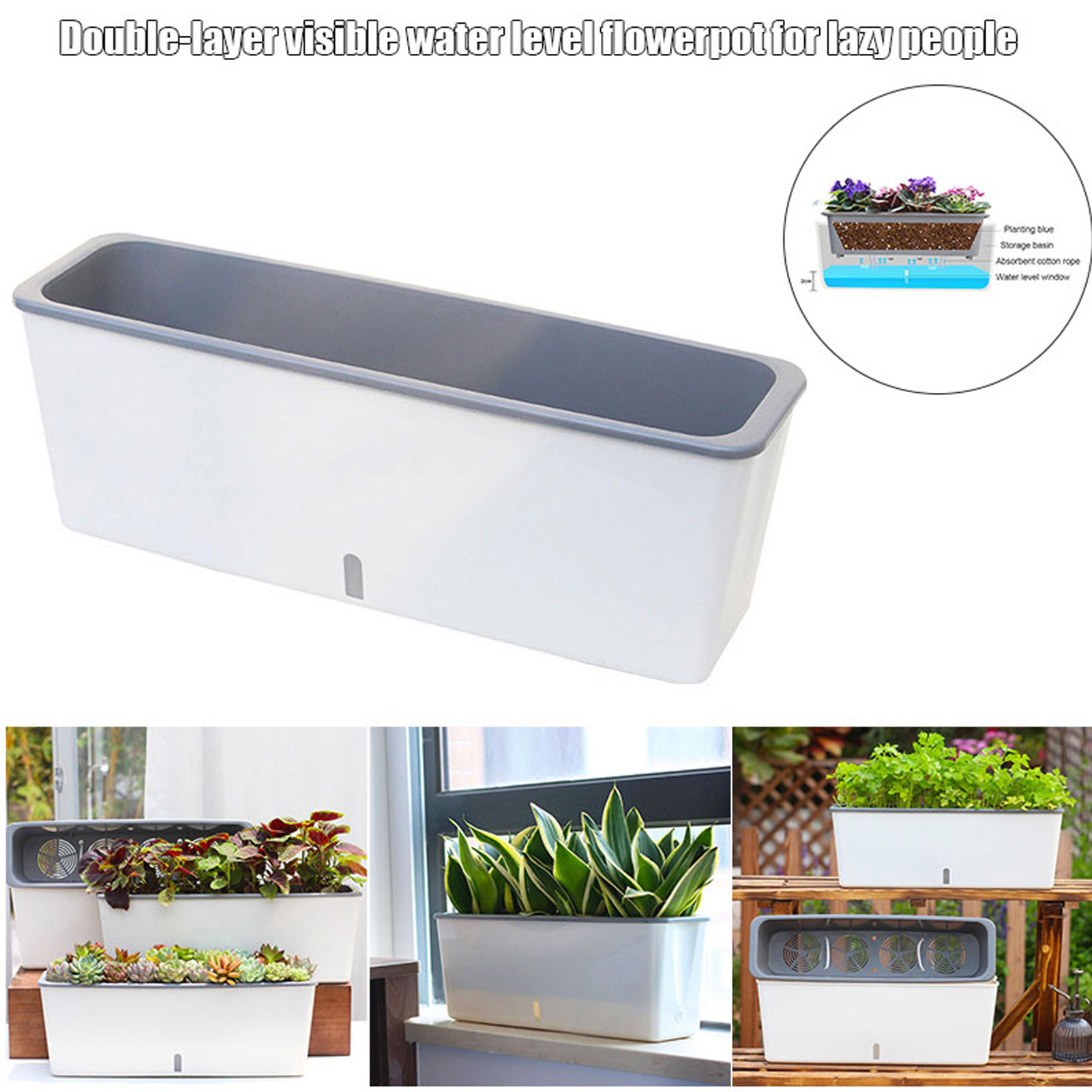 Self-Watering Planter Pots wit – обзор и цена Aloe Vera Pot