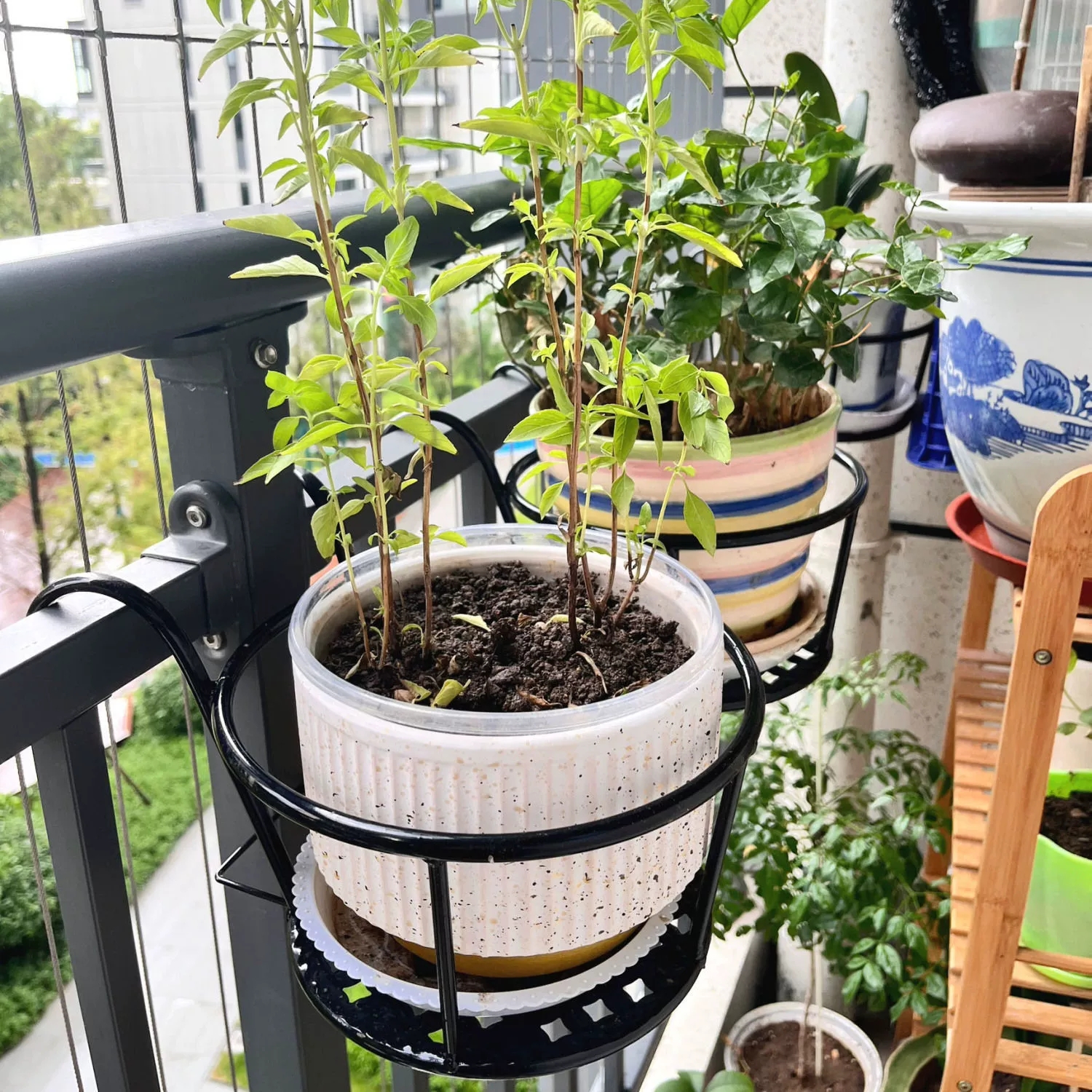 Wrought Iron Balcony Hanging F – обзор и цена Spider Plant Hanging