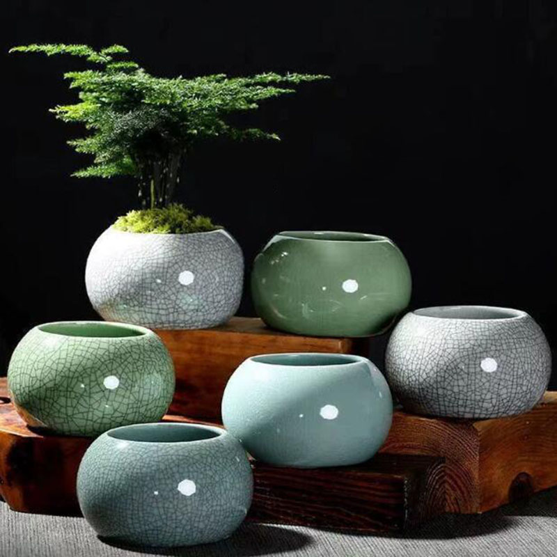 Creative Handmade Geyao Ice Cr – обзор и цена Pilea Peperomioides