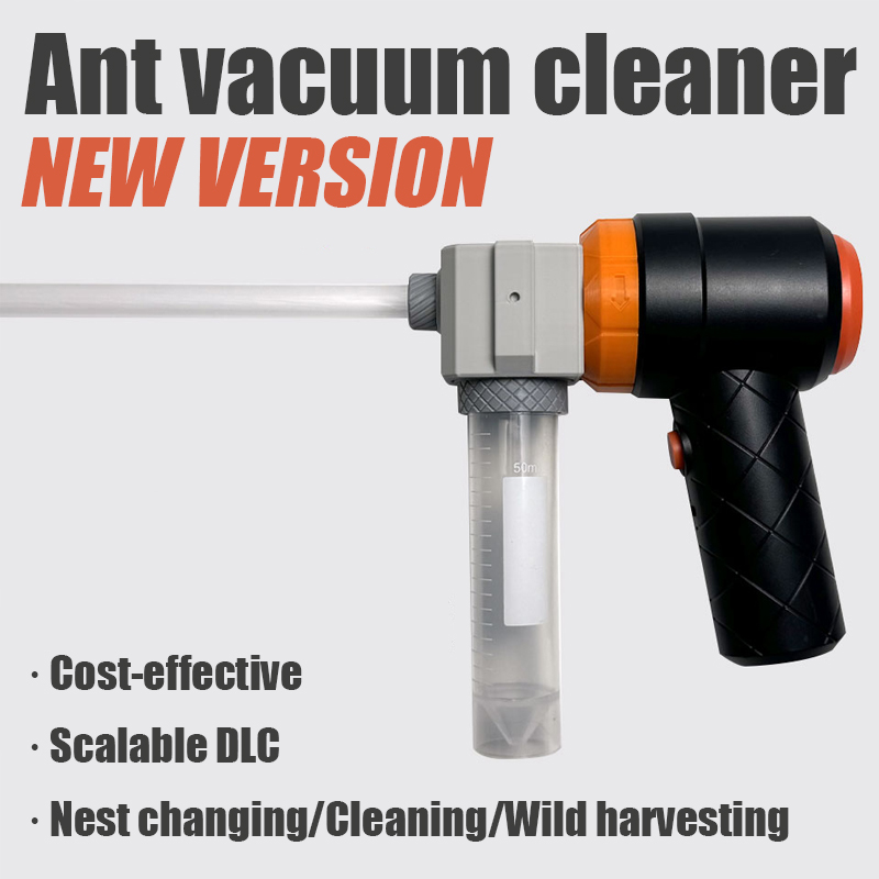 Ant Farm Collection Tool Ants  – обзор и цена Begonia Rex