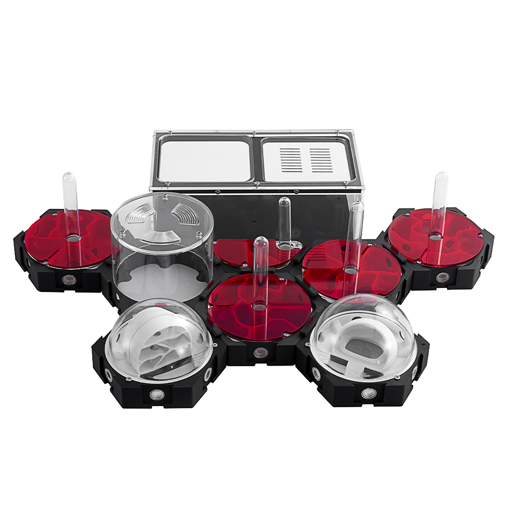 3D Printing Ant Farm Infinitel – обзор и цена Begonia Rex