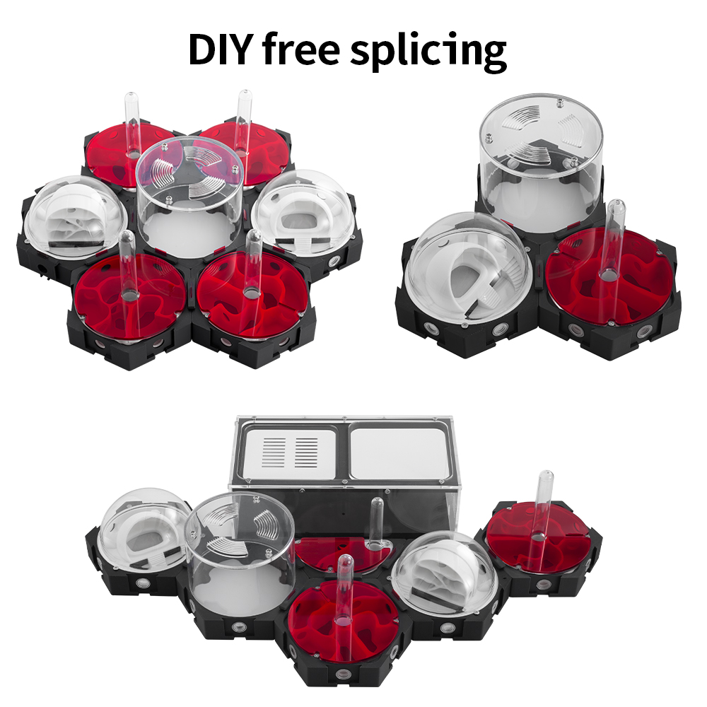 3D Printing Ant Farm Infinitel – обзор и цена Begonia Rex