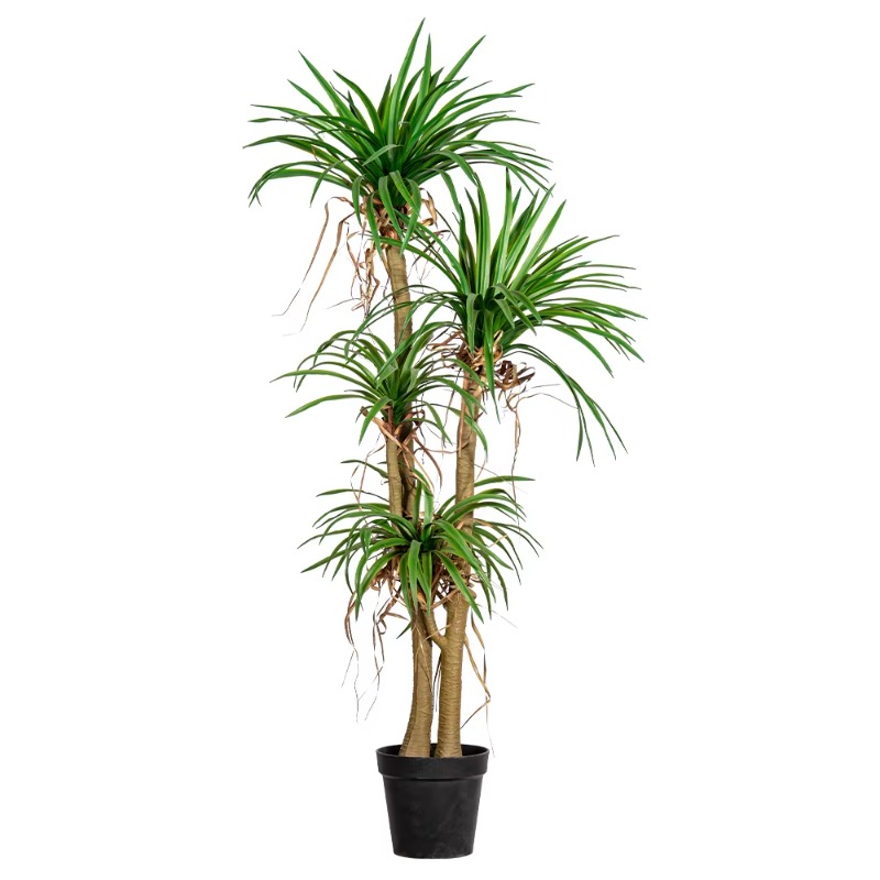 Indoor/Outdoor Home Tree Simul – обзор и цена Dracaena Marginata