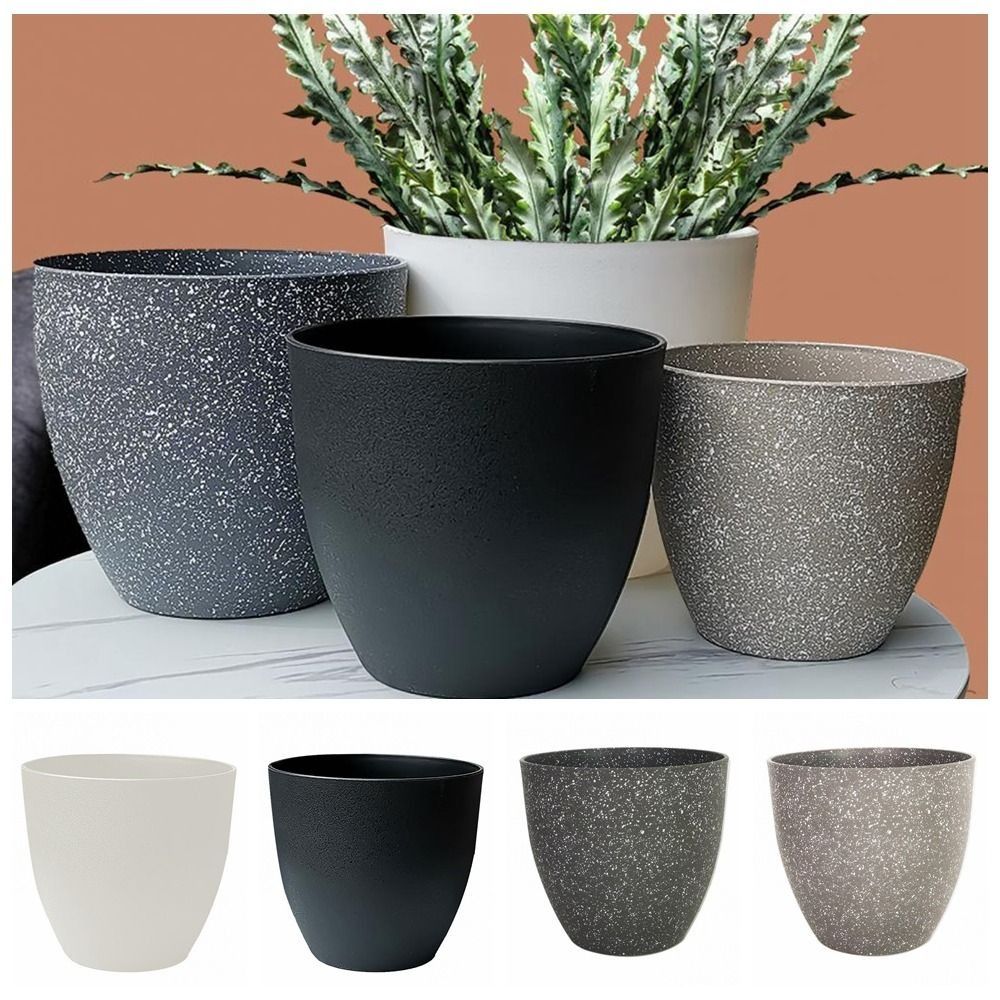 Frosted Imitation Stone Flower – обзор и цена Aloe Vera Pot