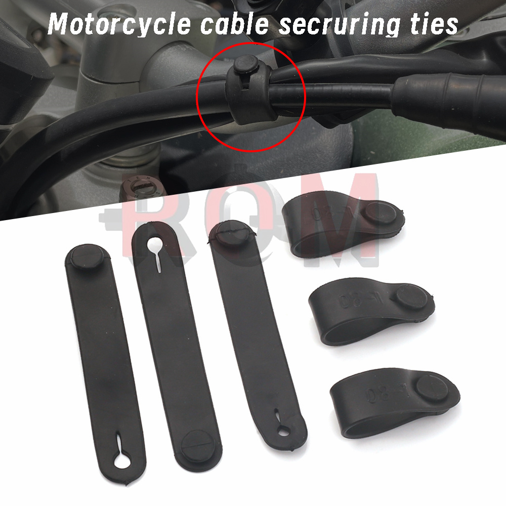 For Ducati Monster Multistrada – обзор и цена Monstera Adansonii