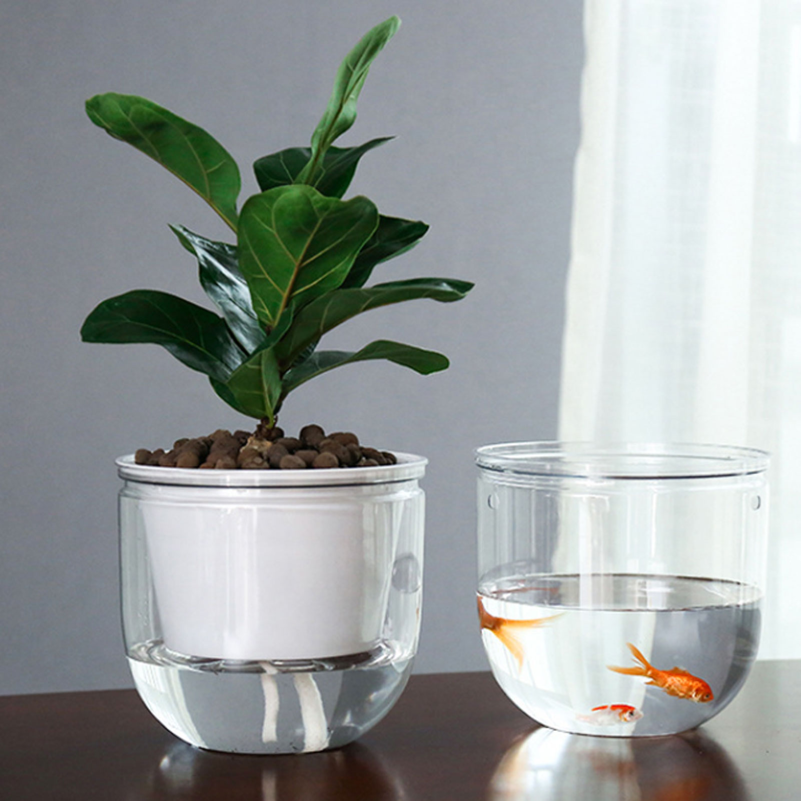 Automatic Self Watering Plant  – обзор и цена Spider Plant Hanging
