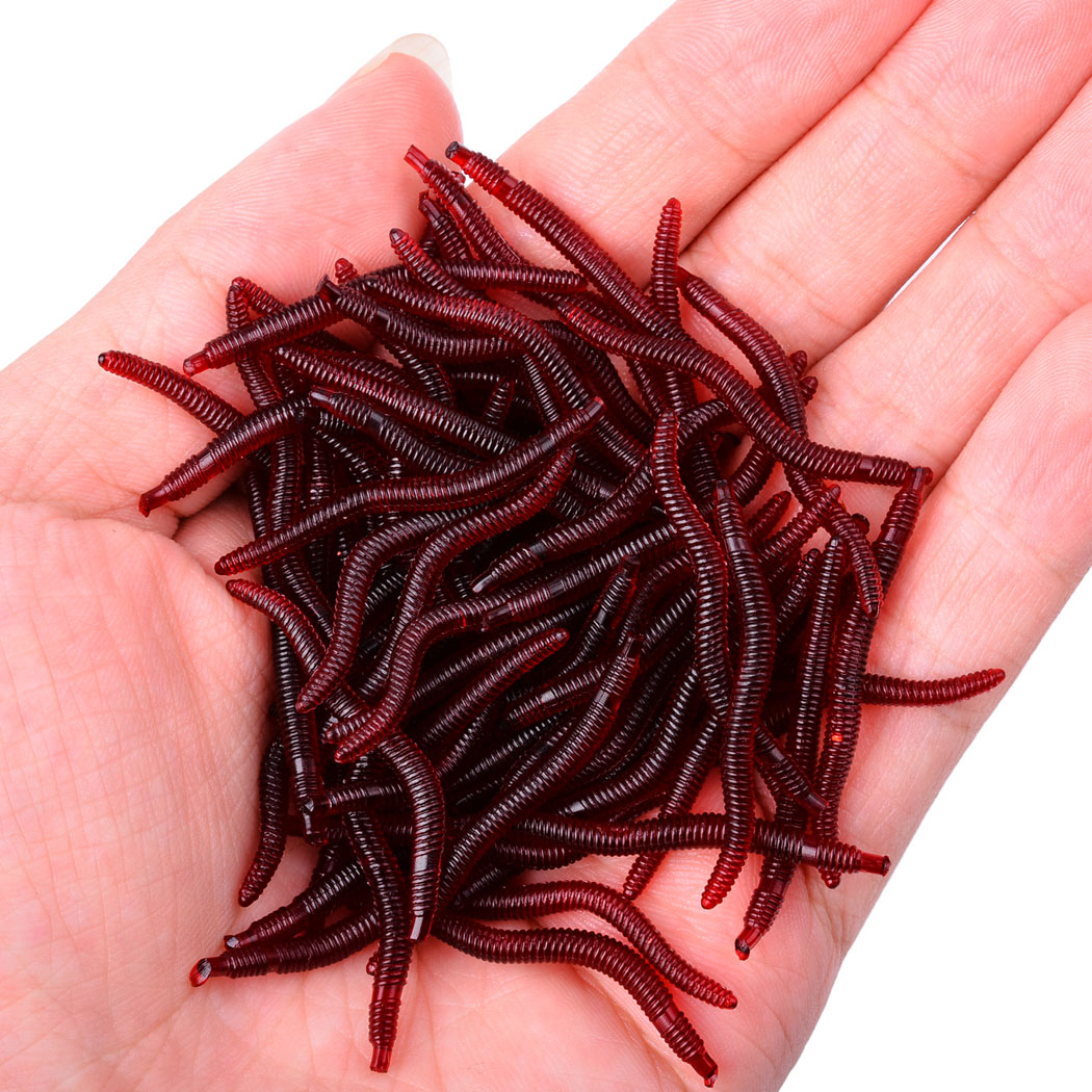 50pcs Lifelike Red Worm Soft L – обзор и цена Aglaonema Red