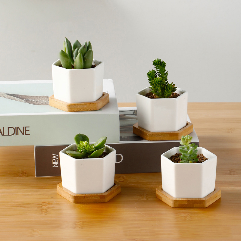 Ceramic Flowerpot White Hexago – обзор и цена Aloe Vera Pot
