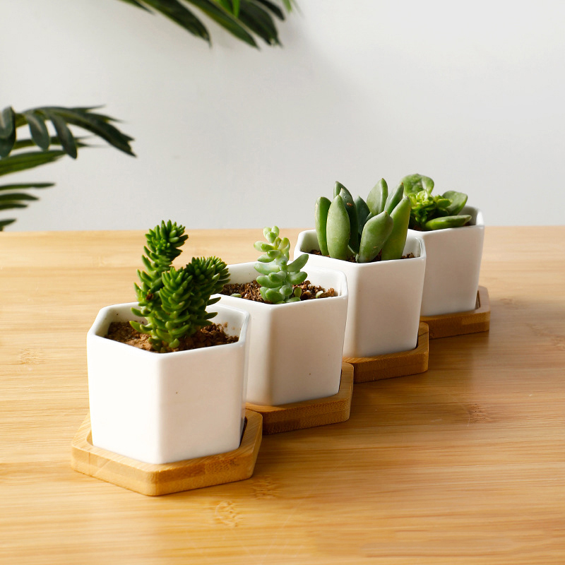 Ceramic Flowerpot White Hexago – обзор и цена Aloe Vera Pot