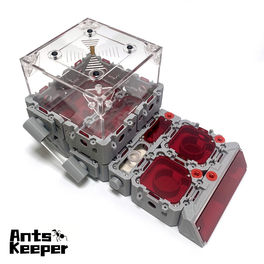 【Lego】Expandable Modular Formi – обзор и цена Begonia Rex