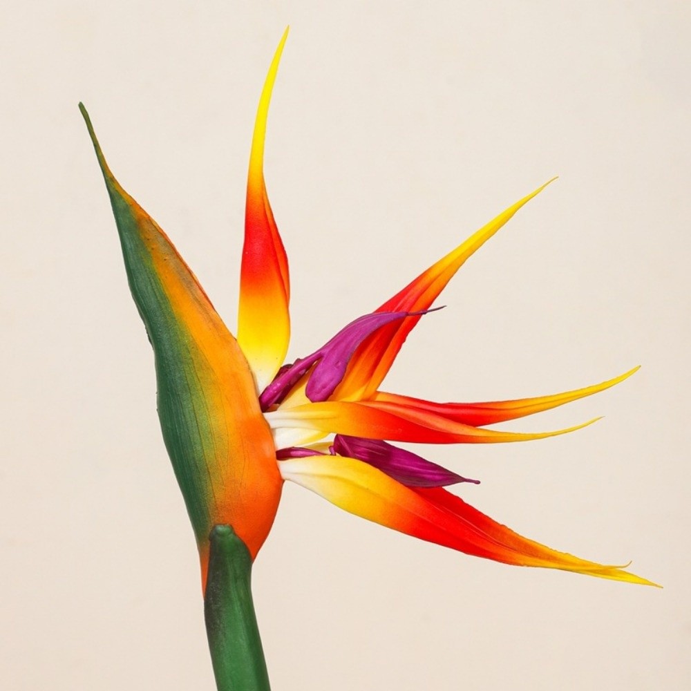 New Long Stem Artificial Bird  – обзор и цена Bird Paradise Strelitzia