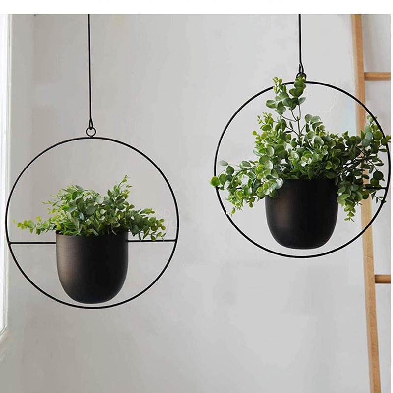 Hanging Iron Art Plant Pots Ba – обзор и цена Spider Plant Hanging