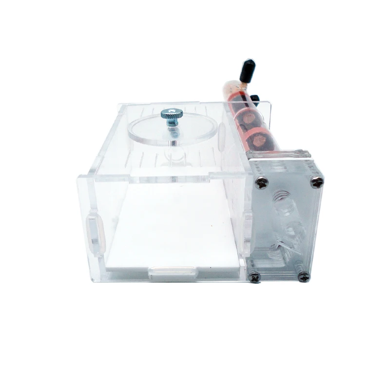 DIY Ant Farm 2 pcs 18-180mm Gy – обзор и цена Begonia Rex