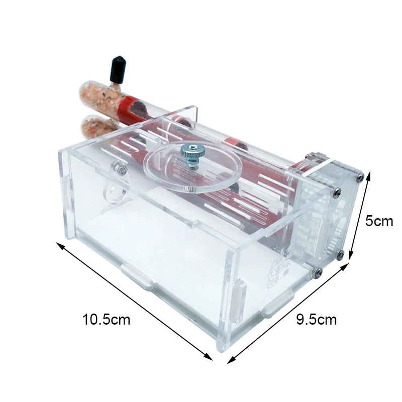 DIY Ant Farm 2 pcs 18-180mm Gy – обзор и цена Begonia Rex