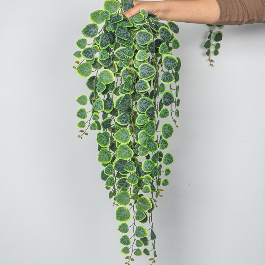 60-80cm Artificial Hanging Vin – обзор и цена Pilea Peperomioides