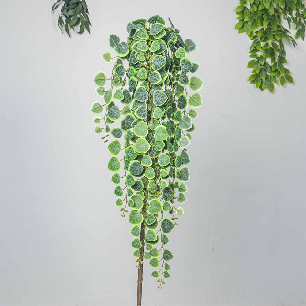 60-80cm Artificial Hanging Vin – обзор и цена Pilea Peperomioides