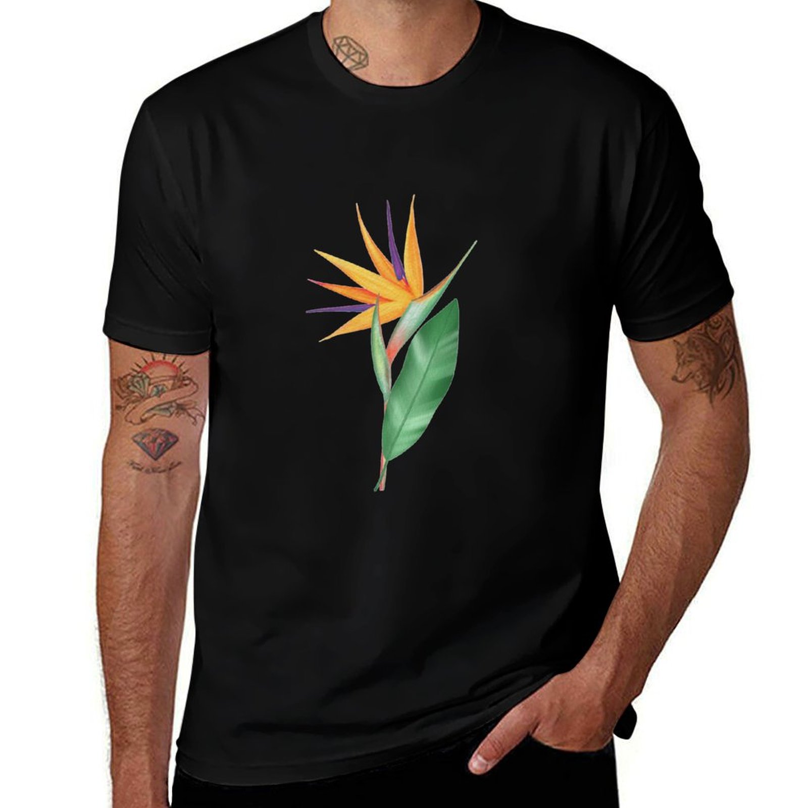 Watercolor bird of paradise fl – обзор и цена Bird Paradise Strelitzia