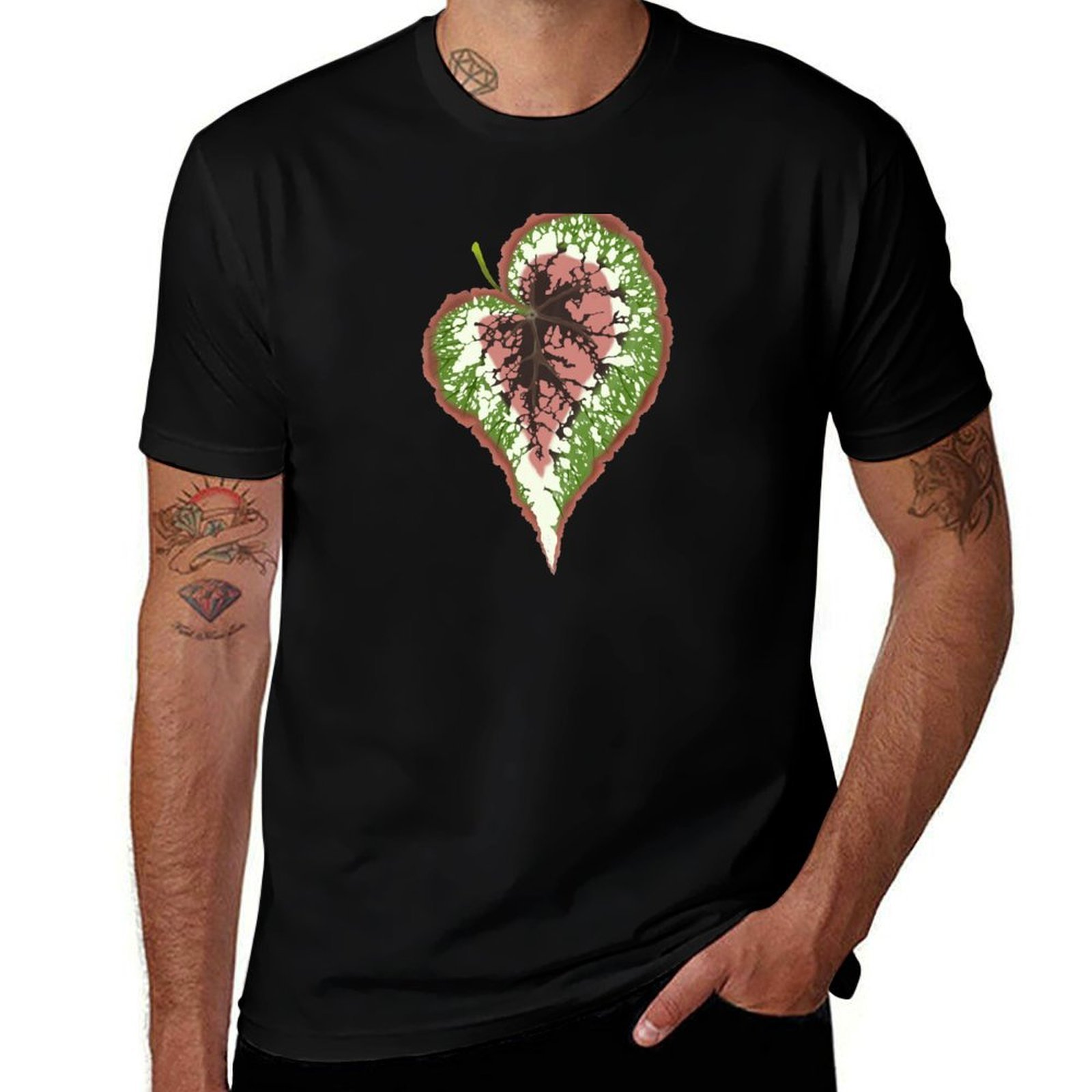 Begonia Rex T-Shirt Basic Simp – обзор и цена Begonia Rex