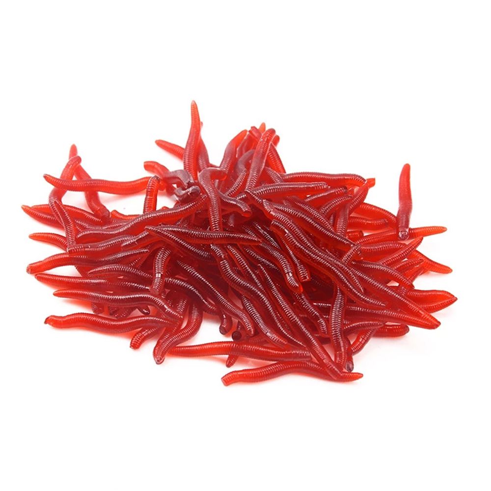 100pcs/Bottle Realistic Tackle – обзор и цена Aglaonema Red