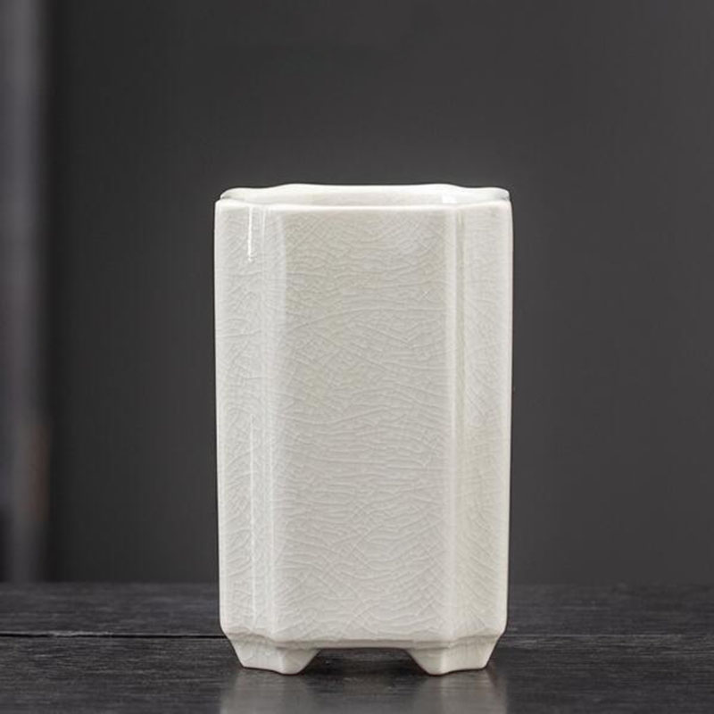 Porcelain Square Celadon Glaze – обзор и цена Pilea Peperomioides