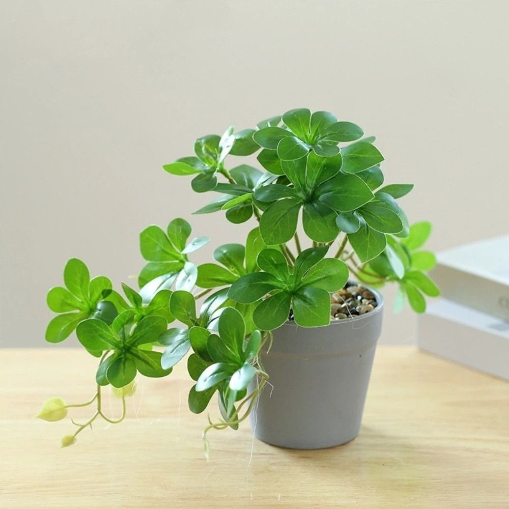 Bonsai Artificial Bonsai Plant – обзор и цена Spider Plant Hanging