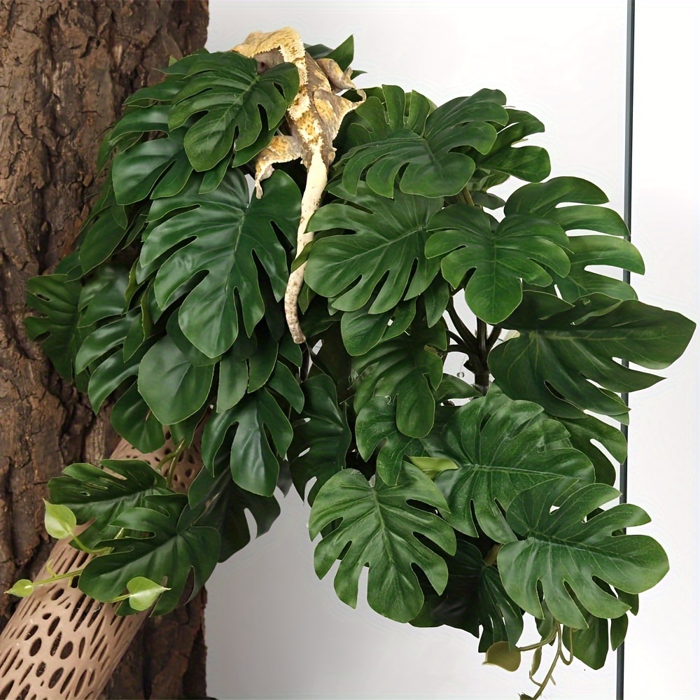 Reptile Plants for Terrarium A – обзор и цена Monstera Adansonii