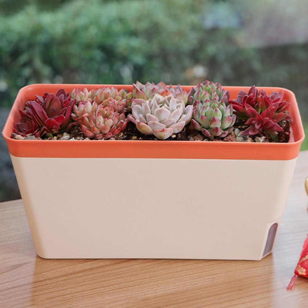 Multi-function Double Layer Fl – обзор и цена Aloe Vera Pot