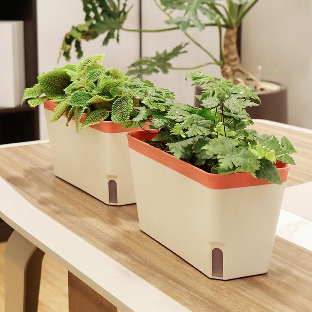Multi-function Double Layer Fl – обзор и цена Aloe Vera Pot