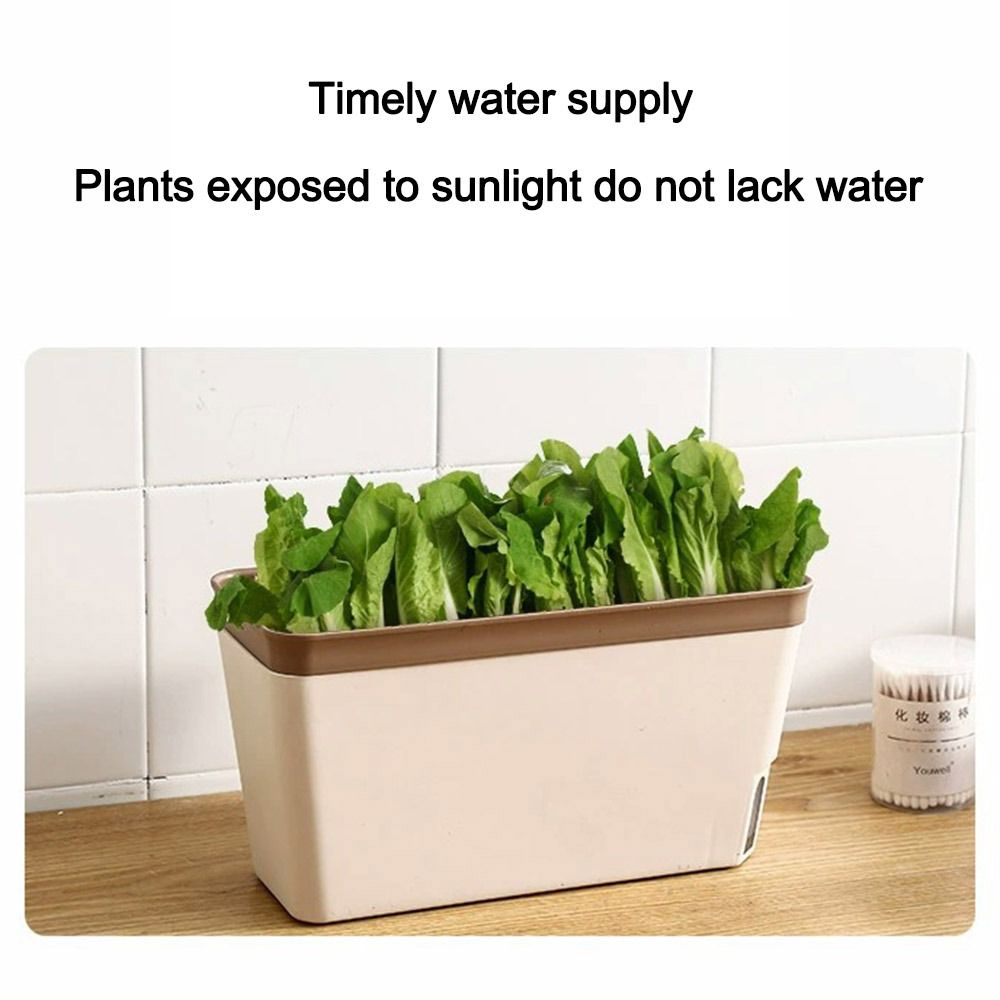 Multi-function Double Layer Fl – обзор и цена Aloe Vera Pot