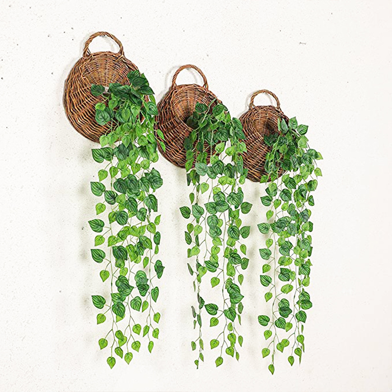 Artificial Basket Rattan Hangi – обзор и цена Pilea Peperomioides