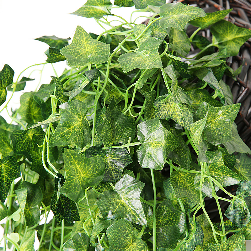 Artificial Basket Rattan Hangi – обзор и цена Pilea Peperomioides