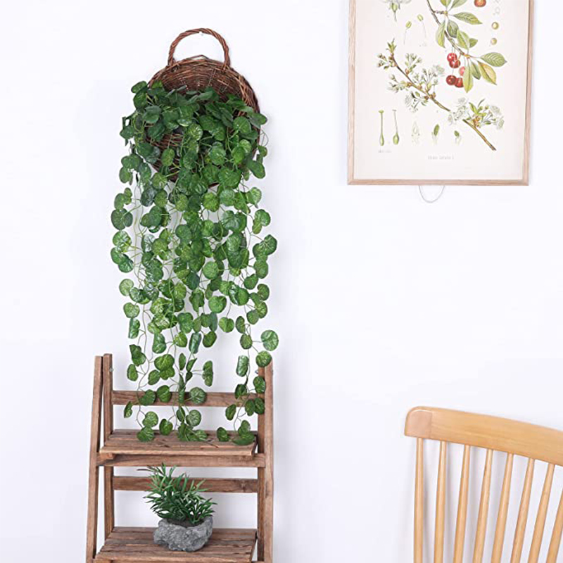 Artificial Basket Rattan Hangi – обзор и цена Pilea Peperomioides