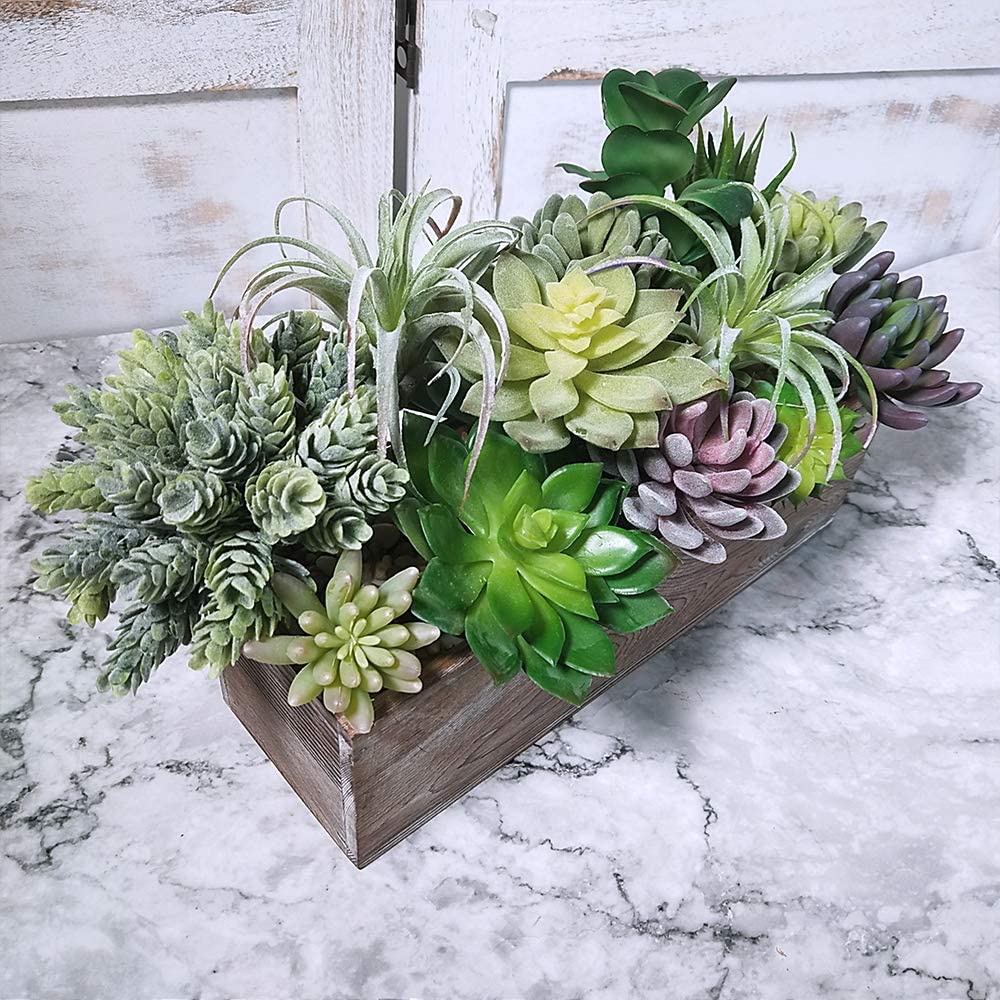 15 Pack Assorted Artificial Su – обзор и цена Echeveria Succulent