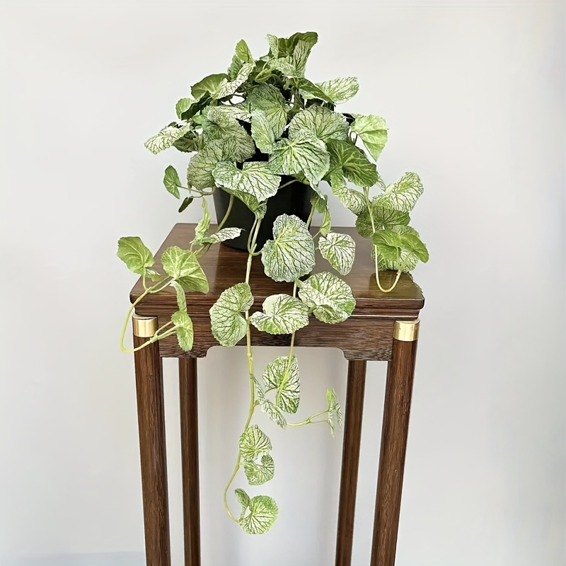 An artificial hanging vine pla – обзор и цена Pilea Peperomioides