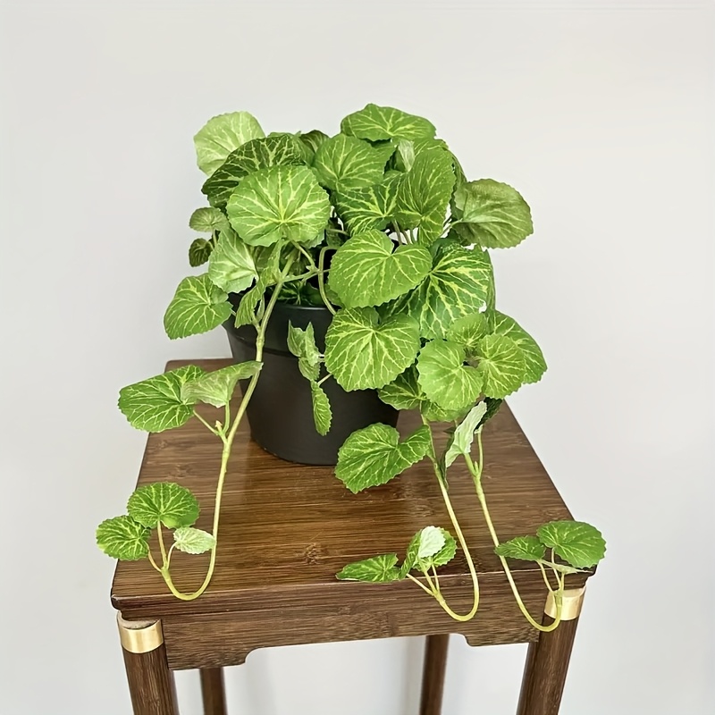 An artificial hanging vine pla – обзор и цена Pilea Peperomioides