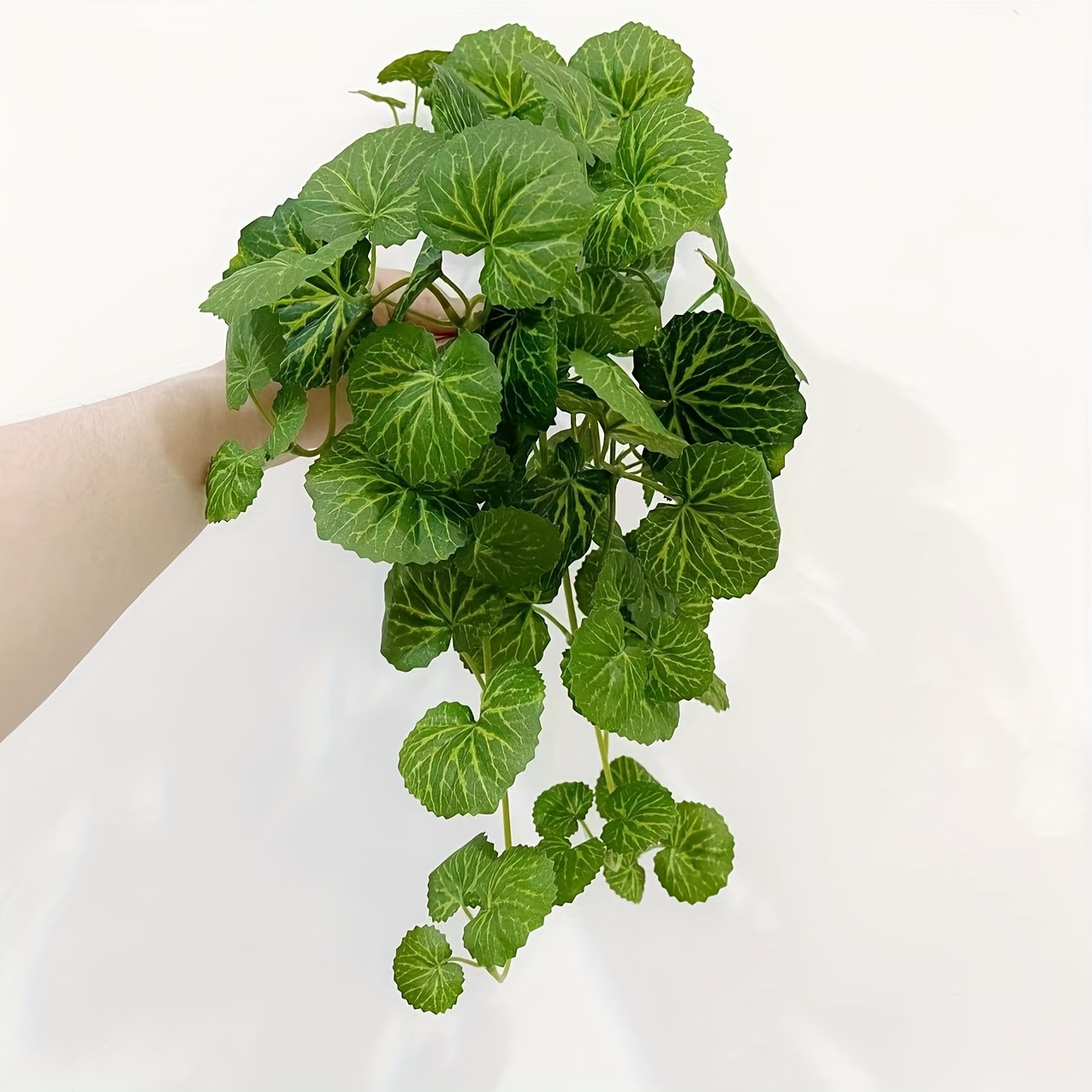 An artificial hanging vine pla – обзор и цена Pilea Peperomioides