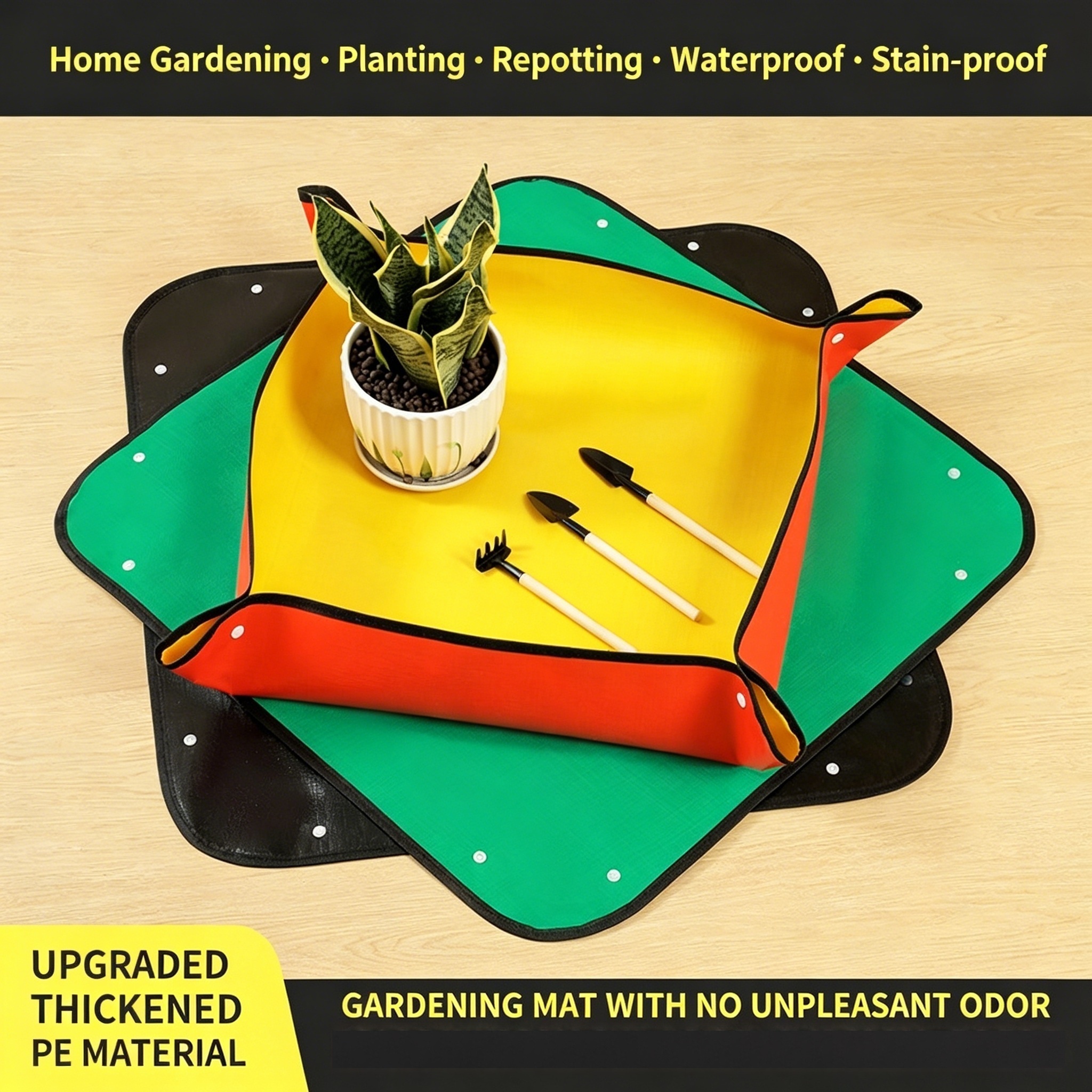 Plant Repotting Mat, Waterproo – обзор и цена Echeveria Succulent