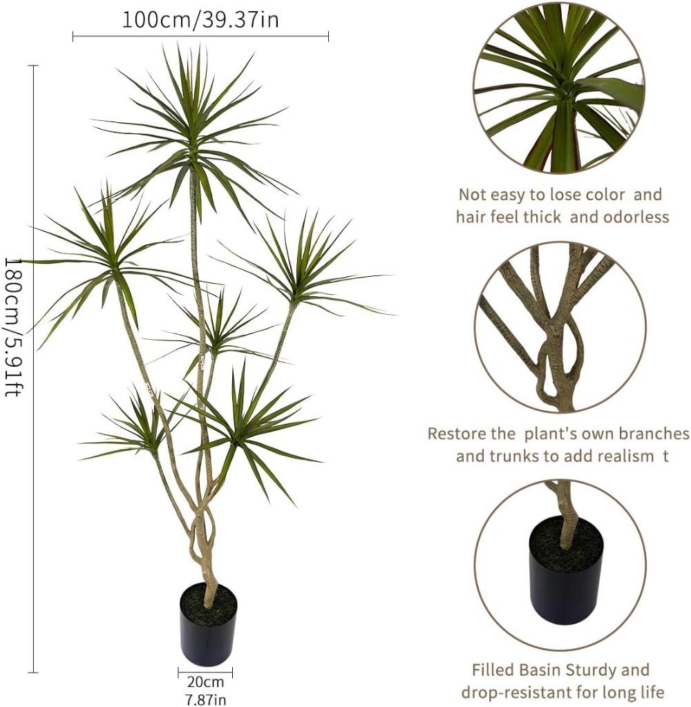 6ft Tall Artificial Dracaena M – обзор и цена Dracaena Marginata