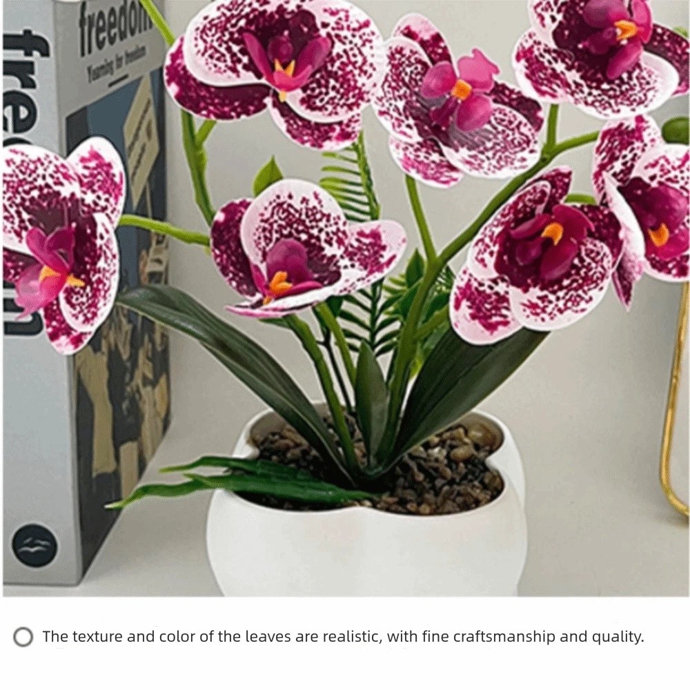Multi-Bloom Simulated Butterfl – обзор и цена Pilea Peperomioides