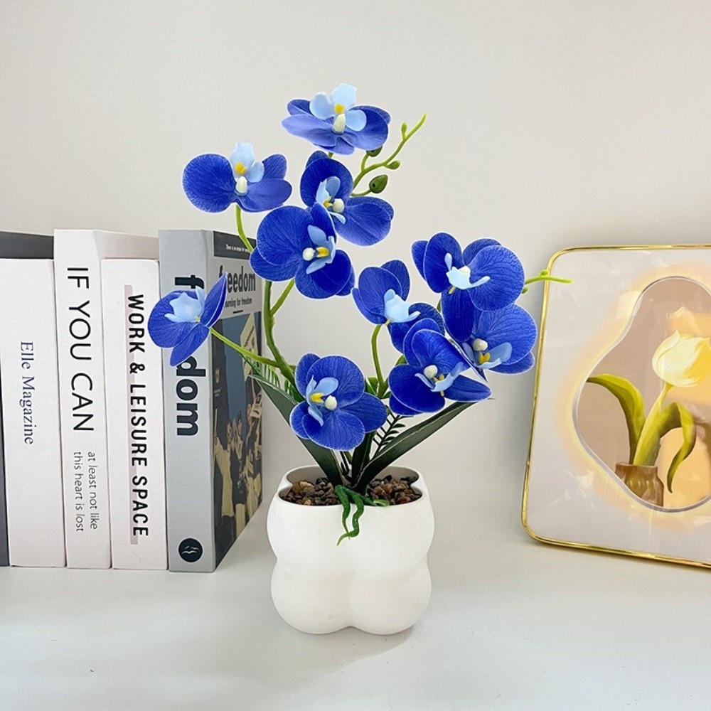 Multi-Bloom Simulated Butterfl – обзор и цена Pilea Peperomioides