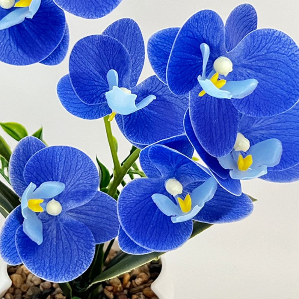 Multi-Bloom Simulated Butterfl – обзор и цена Pilea Peperomioides