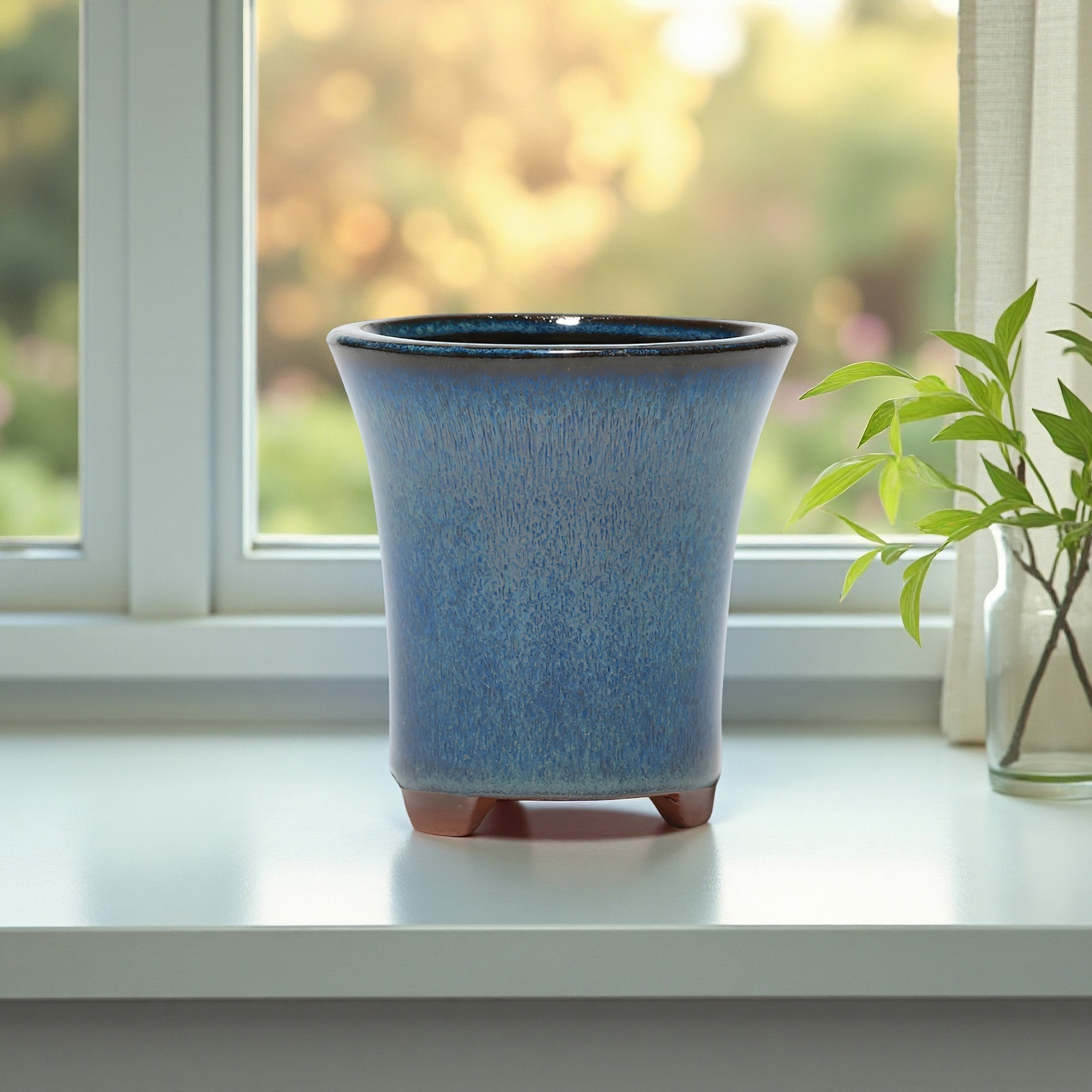 Ceramic Flower Pots with Drain – обзор и цена Pilea Peperomioides