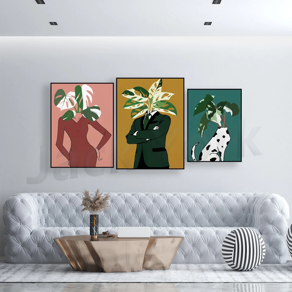 Monstera Albo in a burgundy dr – обзор и цена Monstera Adansonii