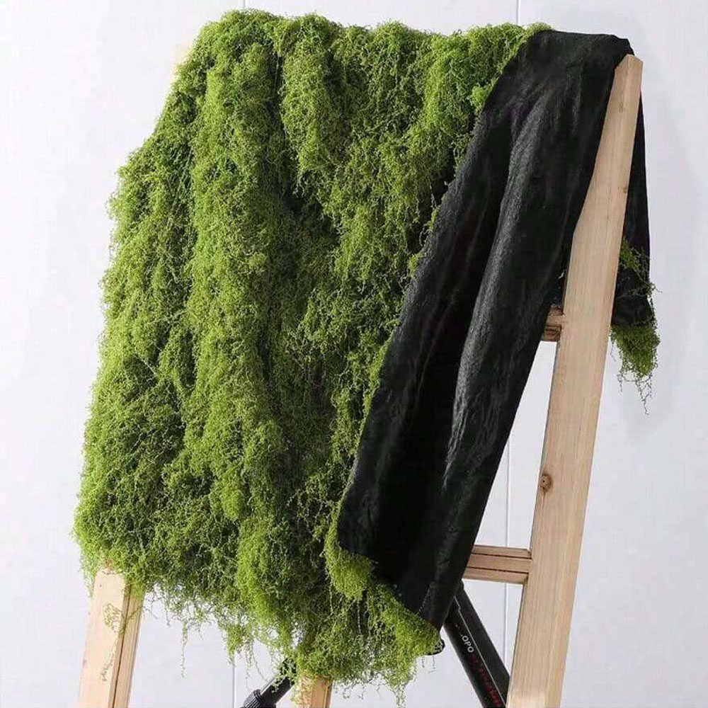 1*1m Fake Moss DIY Crafts Gras – обзор и цена Pilea Peperomioides