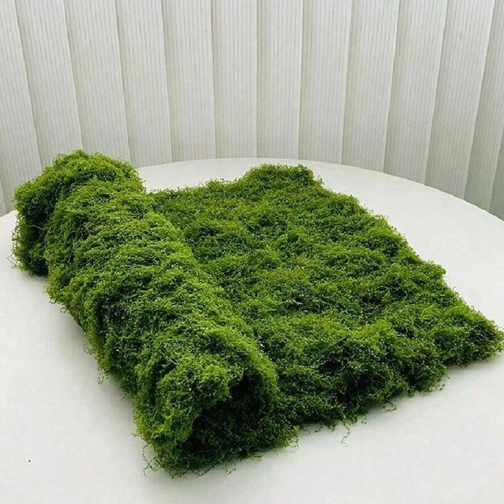1*1m Fake Moss DIY Crafts Gras – обзор и цена Pilea Peperomioides